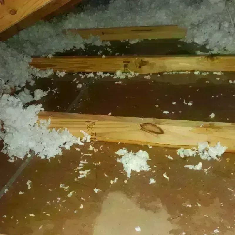 Attic Water Damage in Hinesville, GA